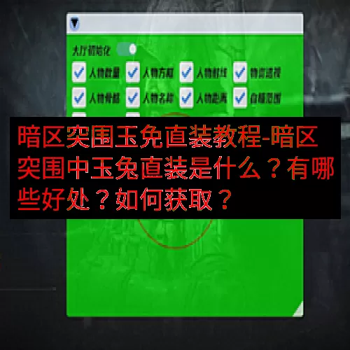 暗区突围玉免直装教程-暗区突围中玉兔直装是什么？有哪些好处？如何获取？