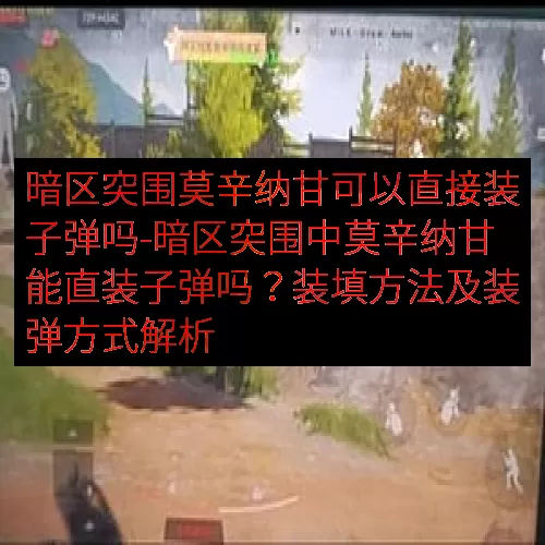 暗区突围莫辛纳甘可以直接装子弹吗-暗区突围中莫辛纳甘能直装子